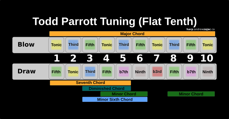 Todd deals parrott harmonica